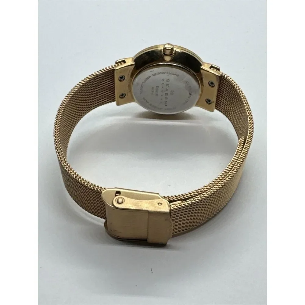 Skagen Ancher SKW2197 Women Stainless Steel Mesh Analog Dial Quartz Watch AEA012